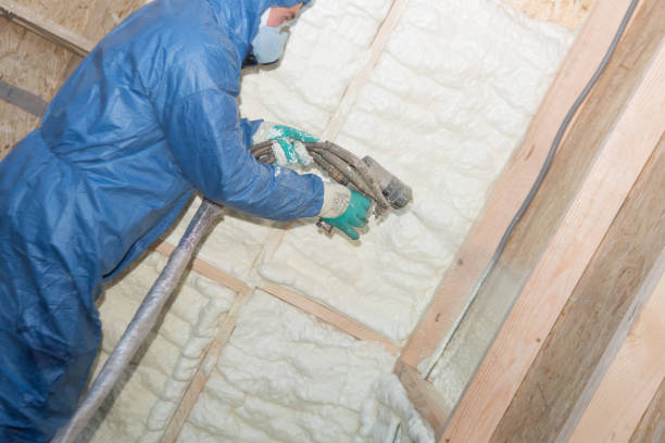 Professional Insulation in Charlevoix, MI